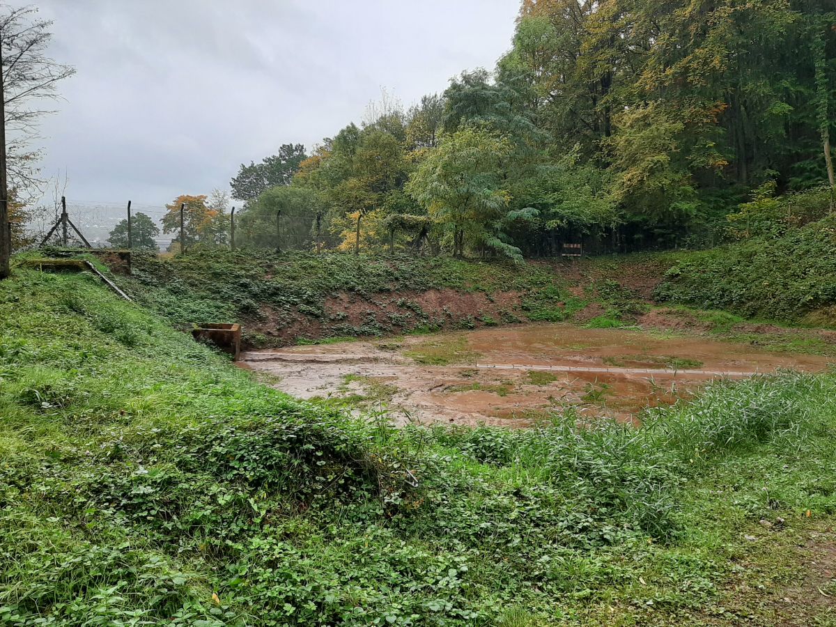 Sanierung des Hochwasserrückhaltebeckens „Irrbach“ in Trier-West